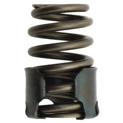 Valves & Valve Springs