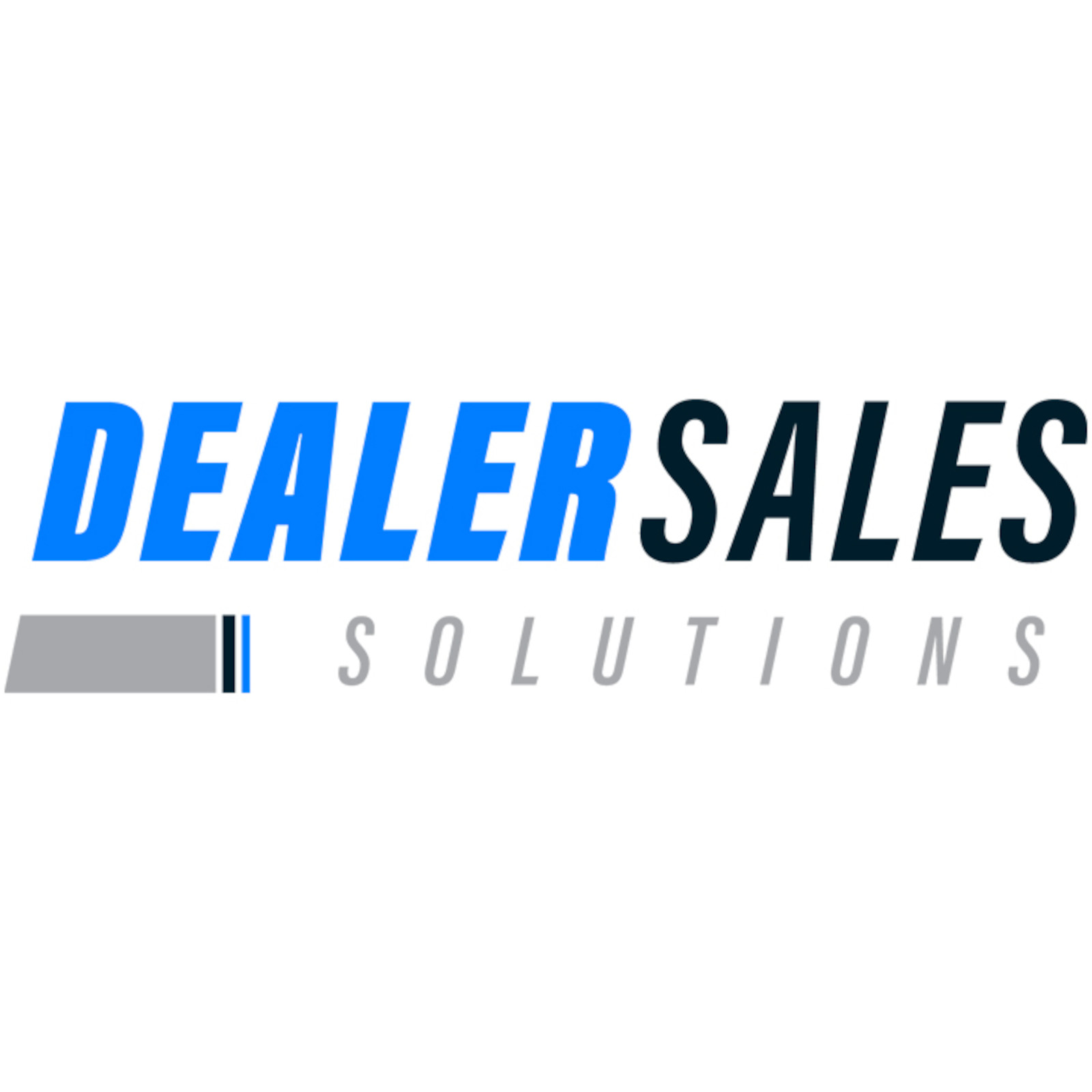 6318ad589085b6d804390eb6-DSS-LOGO(1600x1600).jpg