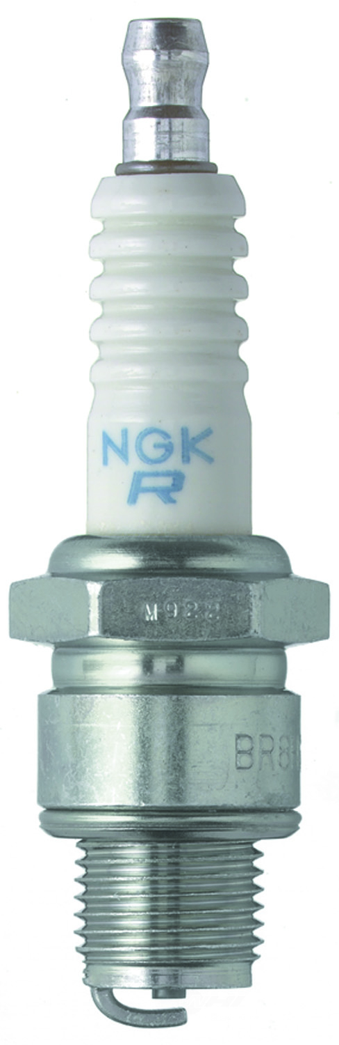 NGK3322-1.jpg
