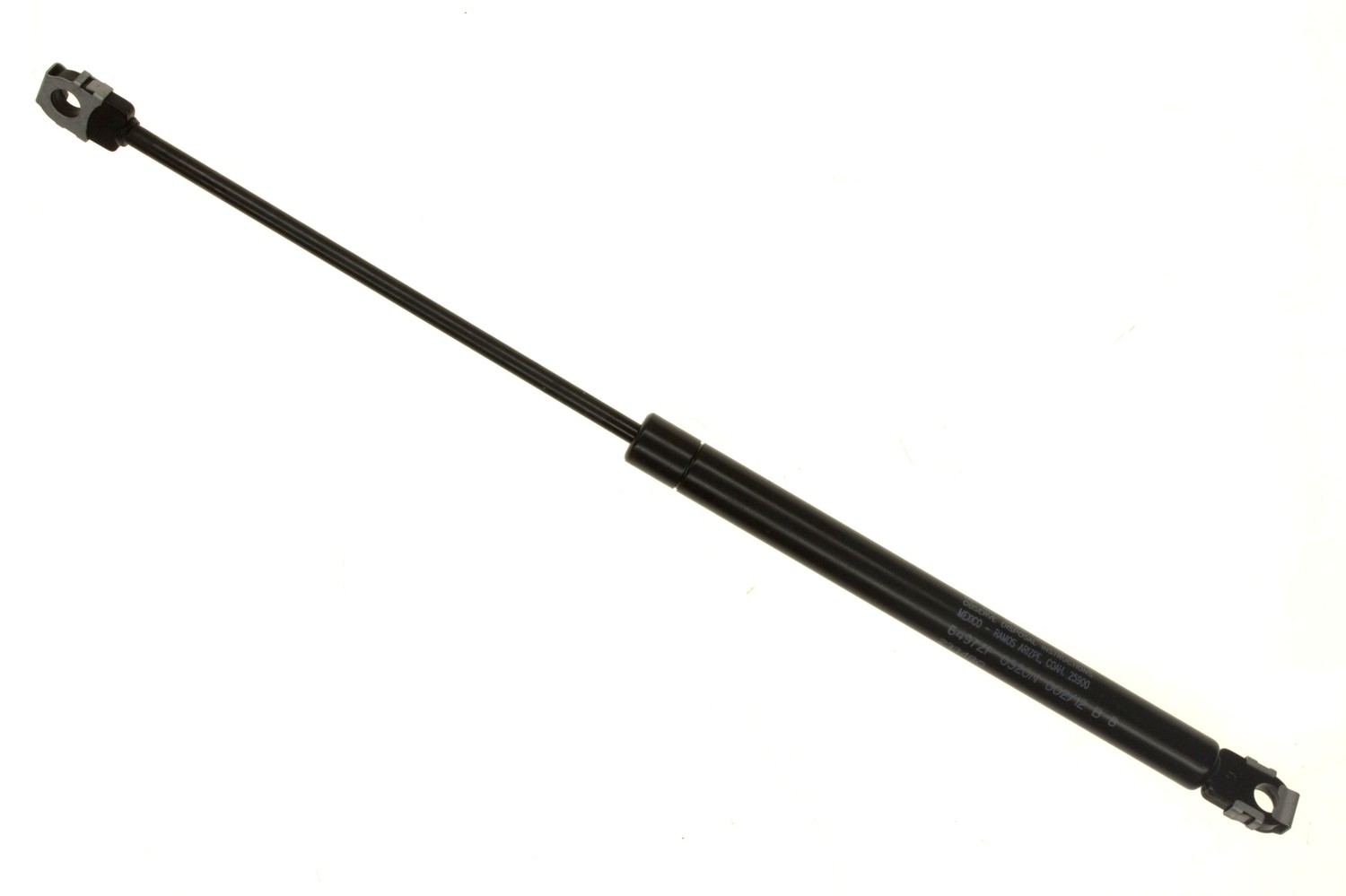 SG302009.jpg