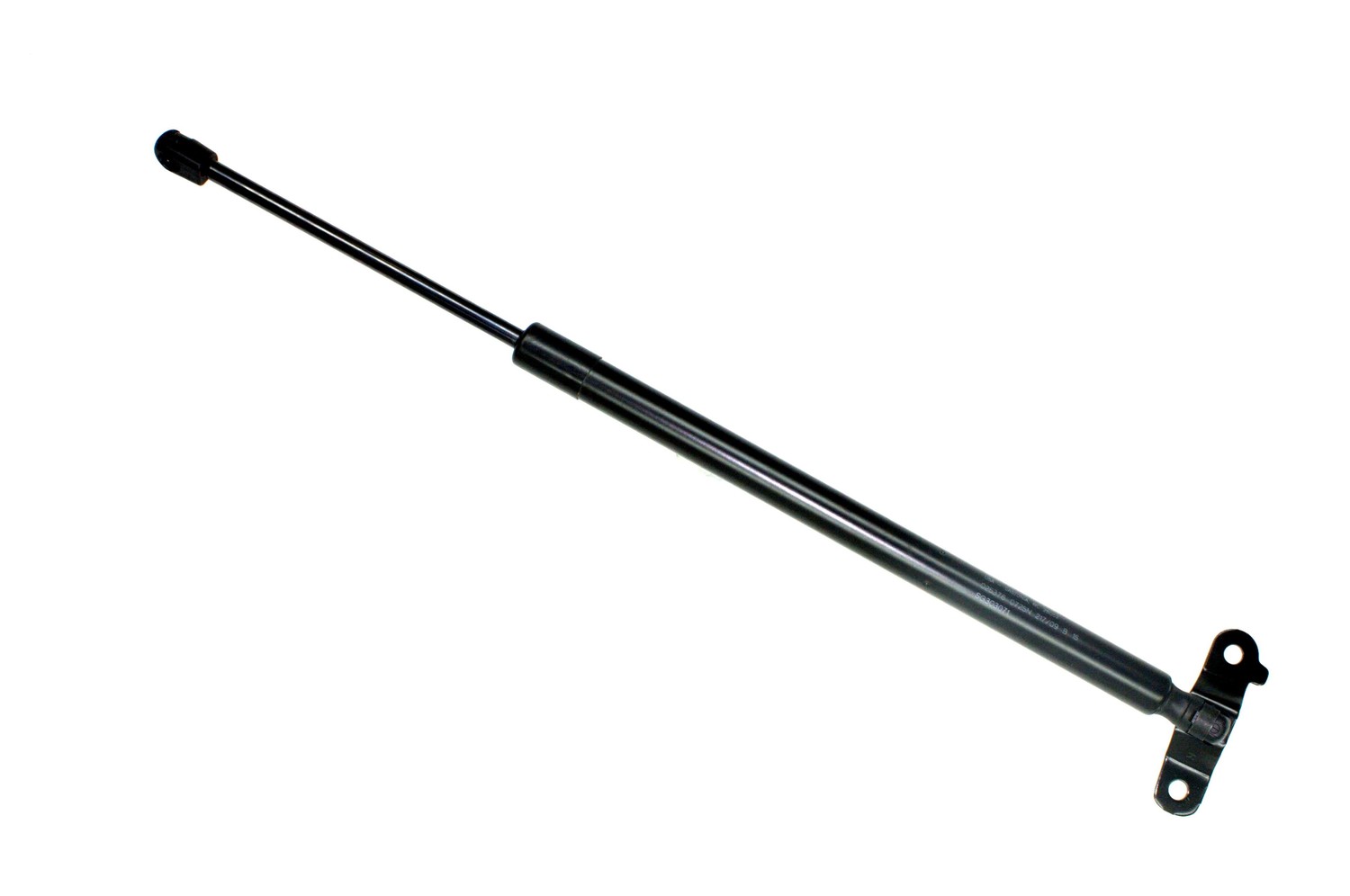 SG303071.jpg