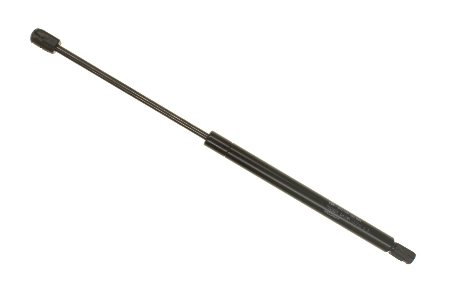 SG304051.jpg
