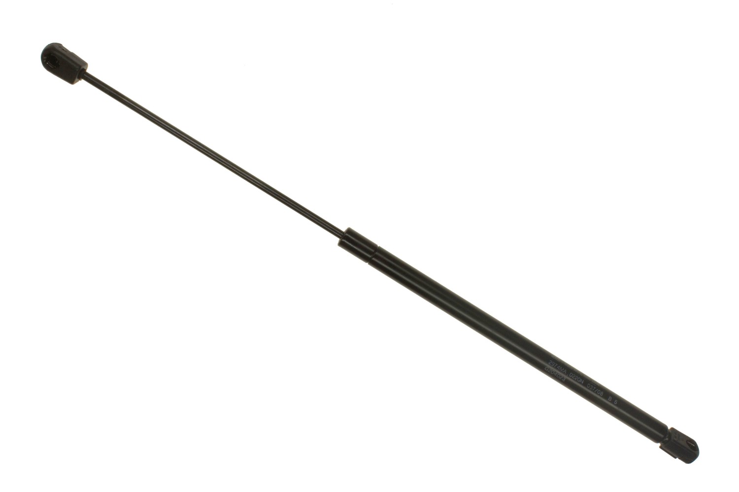 SG304065.jpg