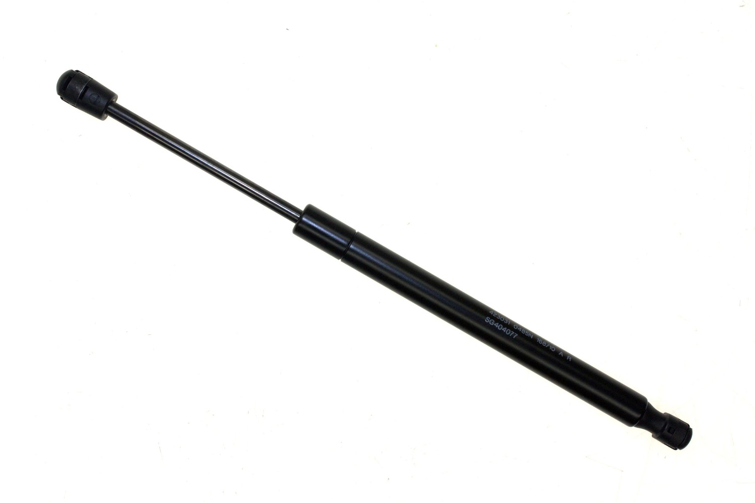 SG304098.jpg