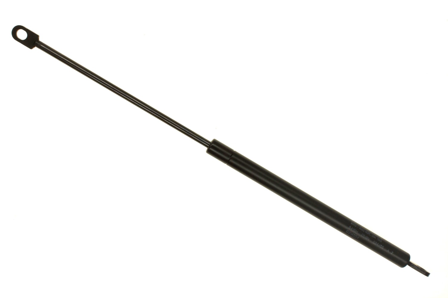 SG314004.jpg