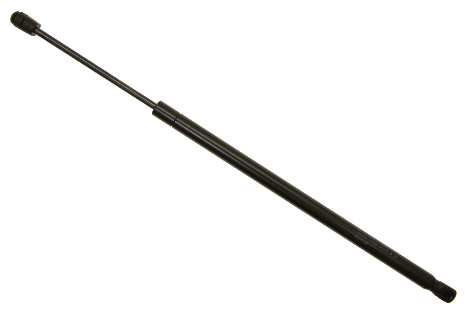 SG314068.jpg
