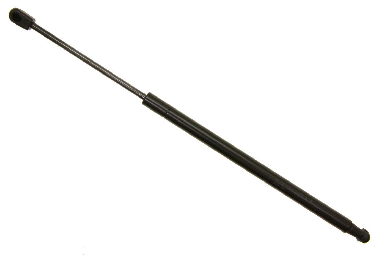 SG314081.jpg