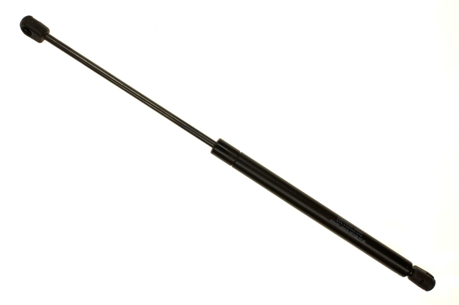 SG318006.jpg
